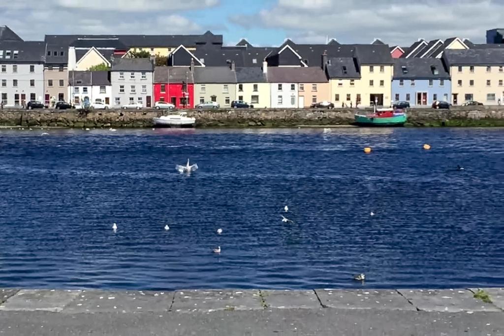 Dominick Street Apartments Galway Dış mekan fotoğraf